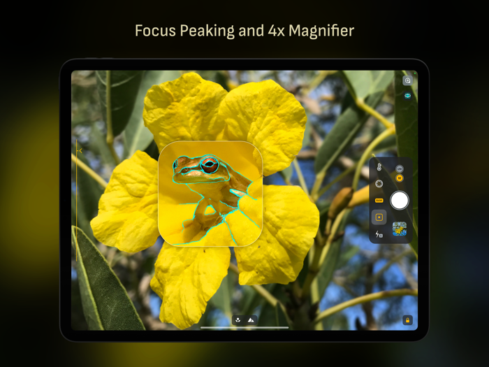 Camera M - Pro Manual Camera