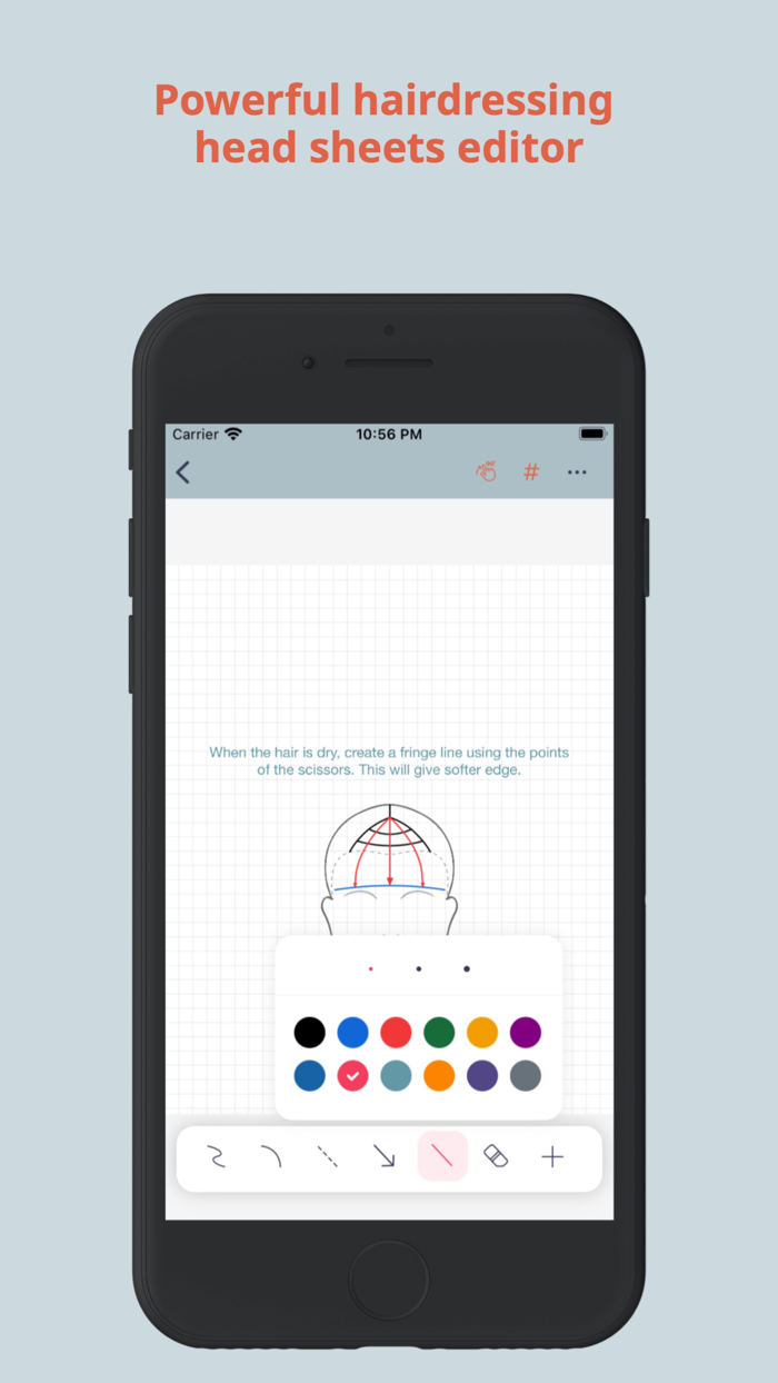 HairTech-Head Sheets