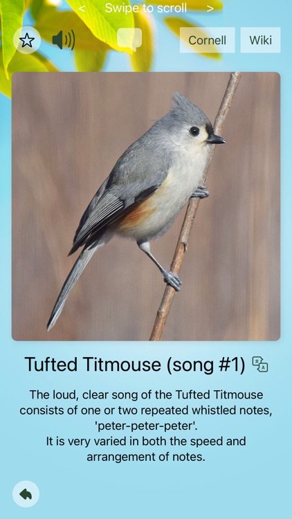 Chirp! Bird Songs & Calls USA