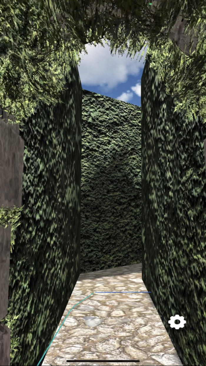 The Metaphysical Labyrinth