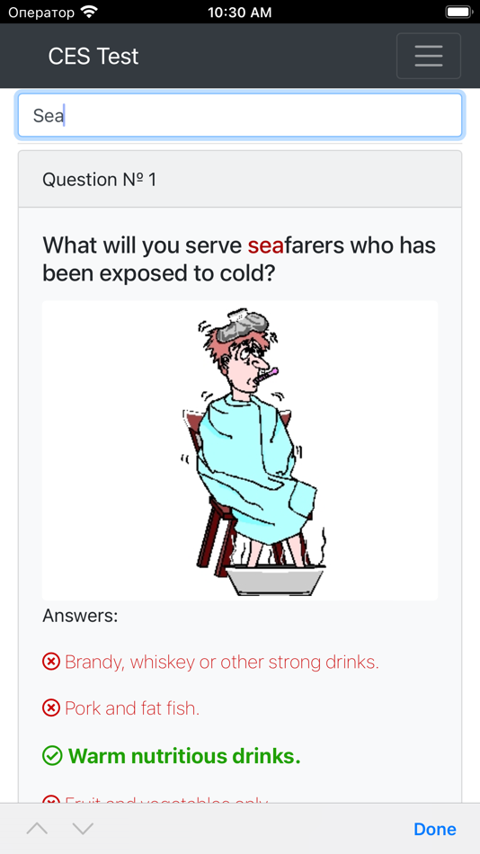 #9. RORO passenger-Operational CES (iOS) 게시자: Maxim Lukyanenko