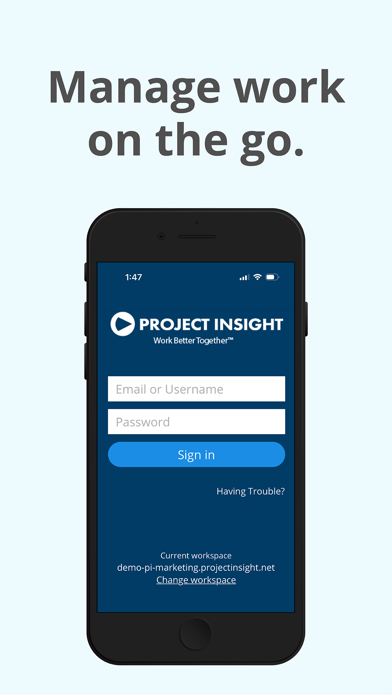 Project Insight Screenshot