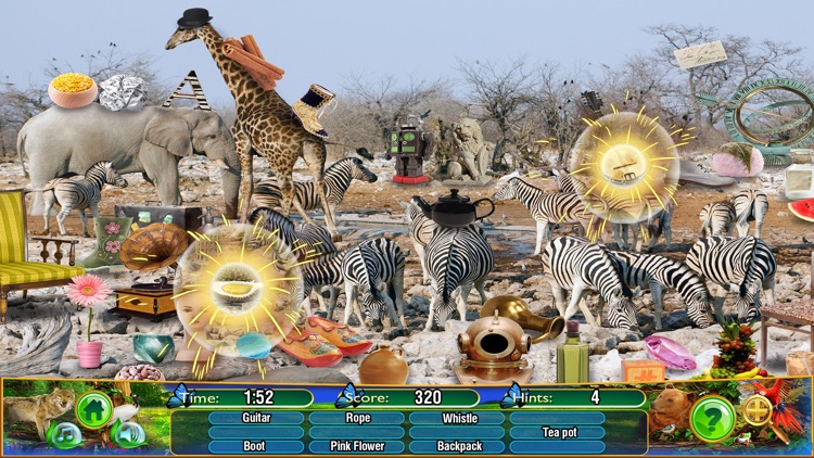 Hidden Objects Animal Kingdom screenshot-4