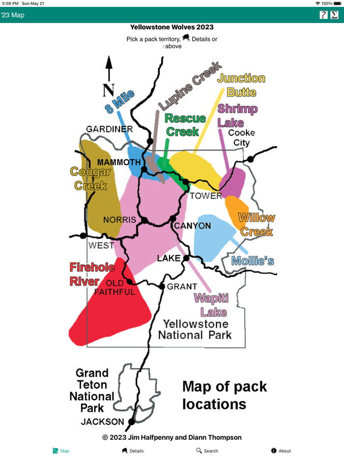 Yellowstone Wolves 2023