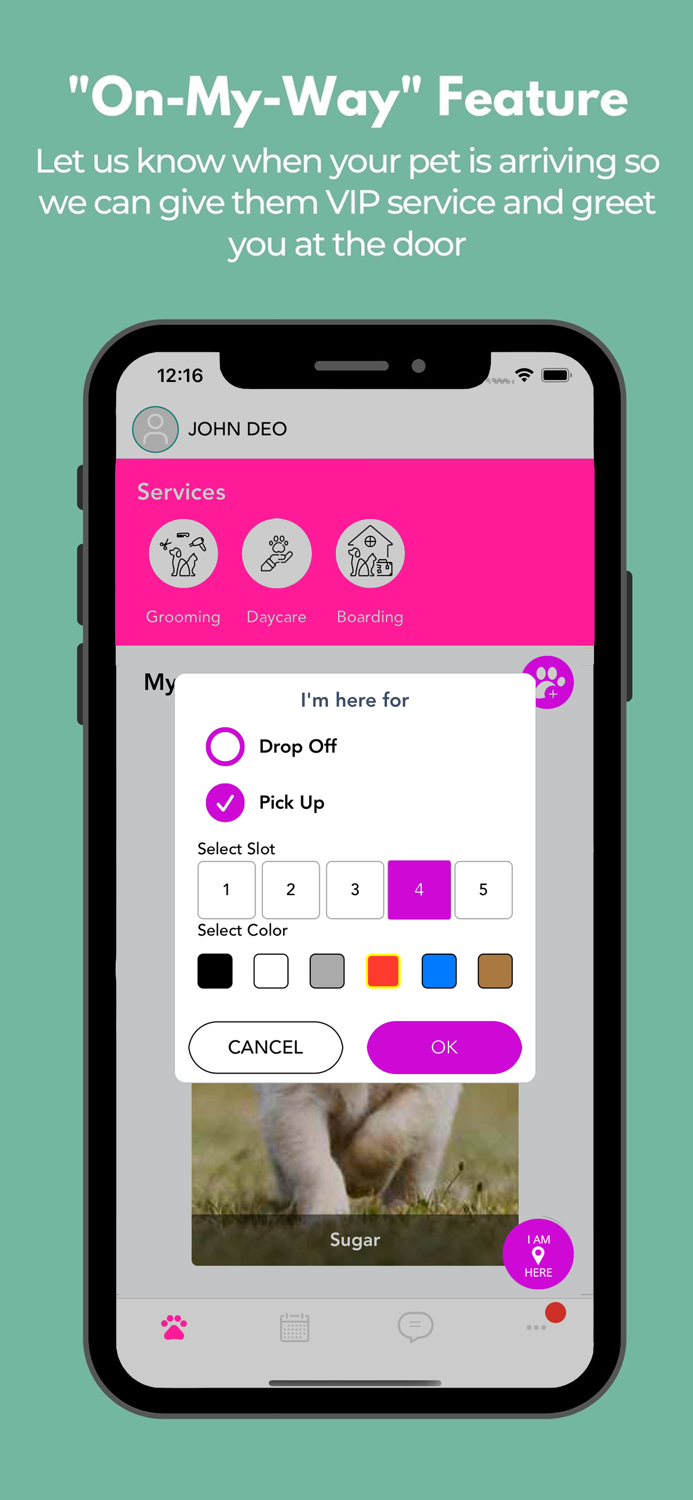 Bailey’s Daily Pet Care