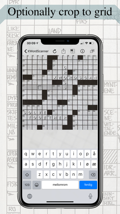 Crossword Scanner Screenshot