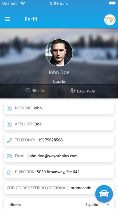 Screenshot #3 pour WayCab DM