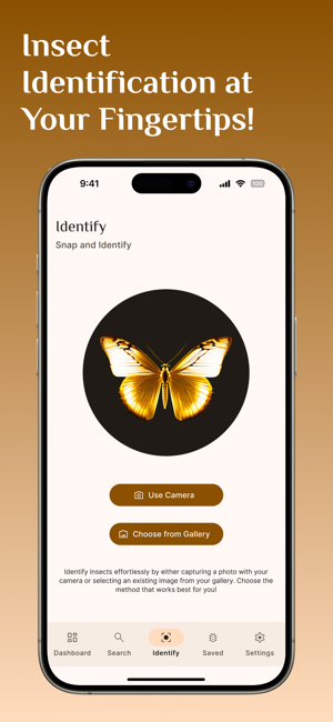 ‎Bug Identifier, Insect Id Screenshot