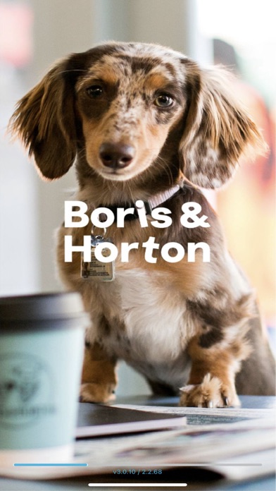 Boris & Horton Screenshot