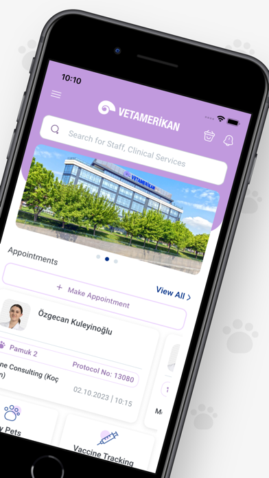 VetAmerikan Screenshot