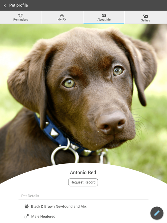 Pet Kare Clinic iPad screenshot 3 - Business app