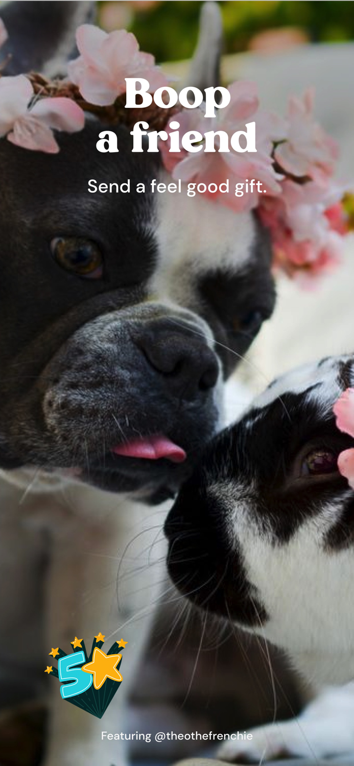 Zoo by Chewy - Pet Community