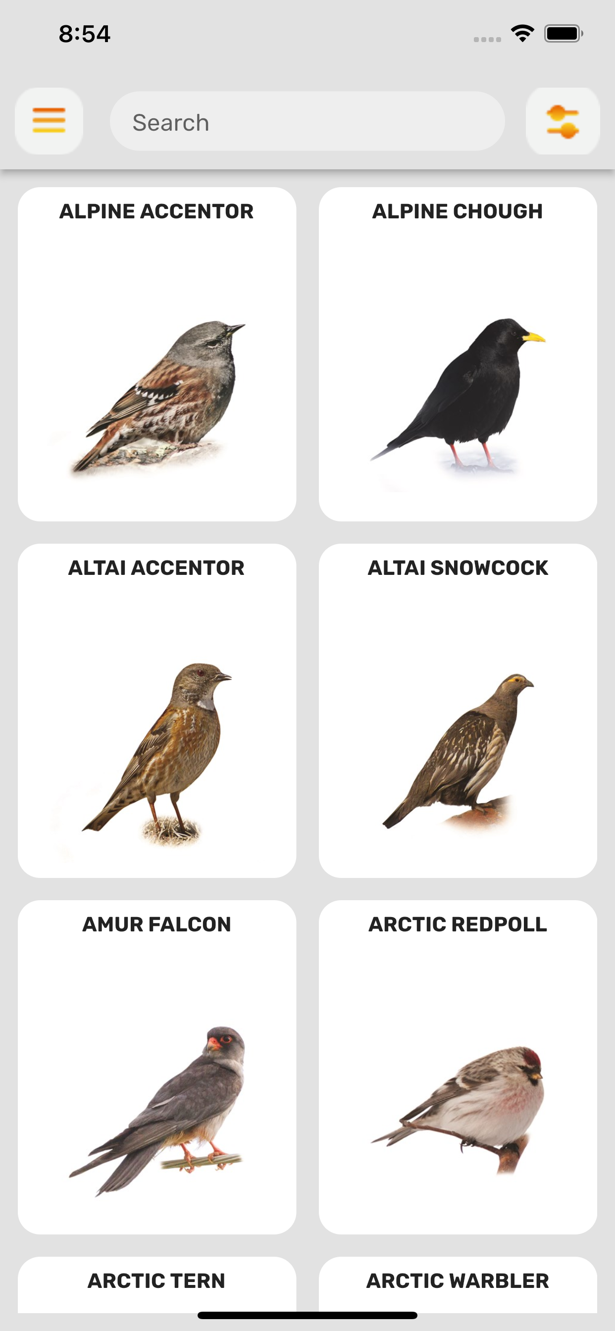 Birds of Mongolia