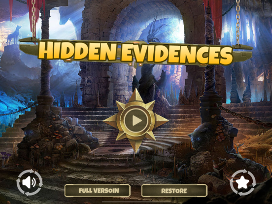 The Hidden Evidences : Puzzle