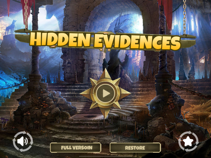 The Hidden Evidences  Puzzle