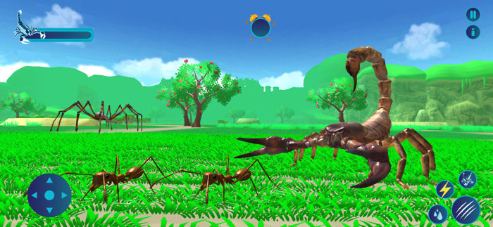 Deadly Venom Scorpion Insect