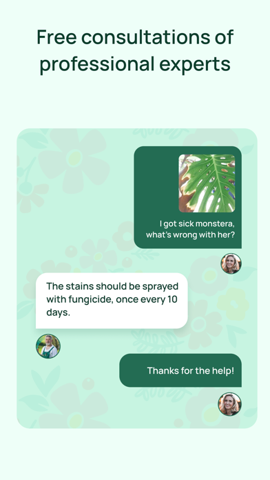 Plant & disease identification Screenshot