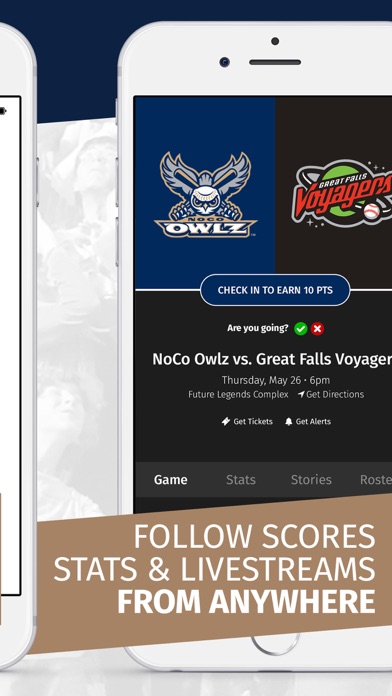 Pioneer Baseball League PBL Screenshot