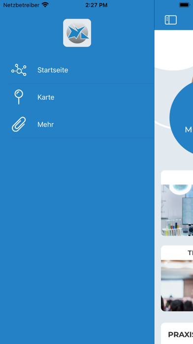 Schmerznetzkonferenz Screenshot