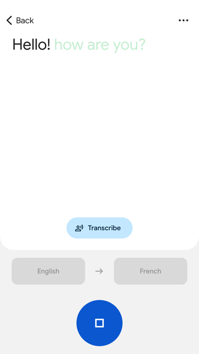 Google Translate Screenshot