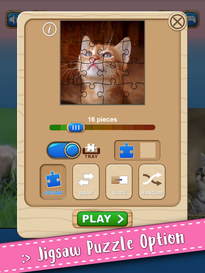 Cute Kitten Cat Jigsaw Puzzle