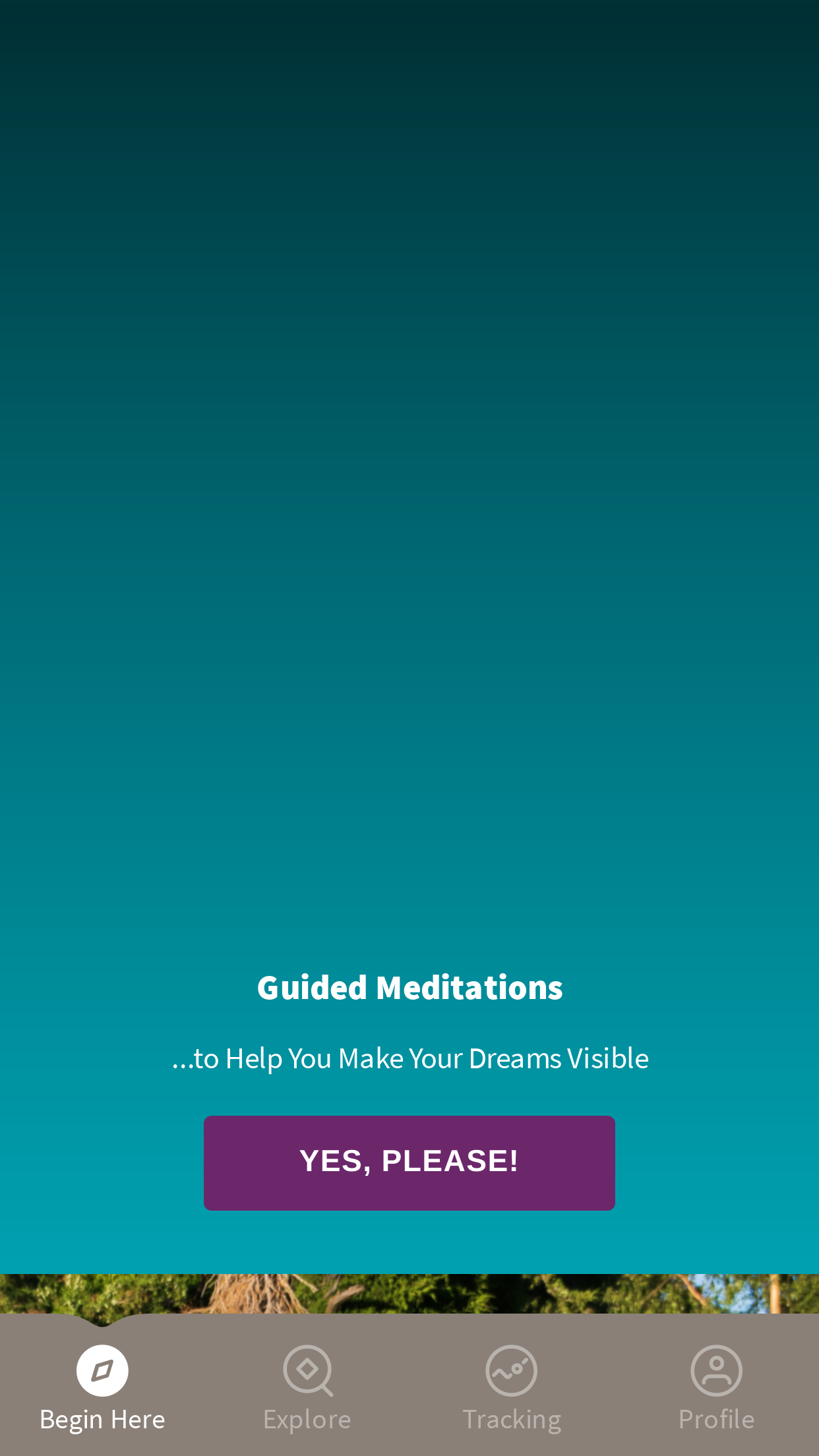 Dreams Made Visible