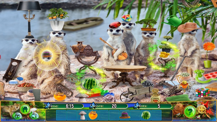 Hidden Objects Animal Kingdom screenshot-3