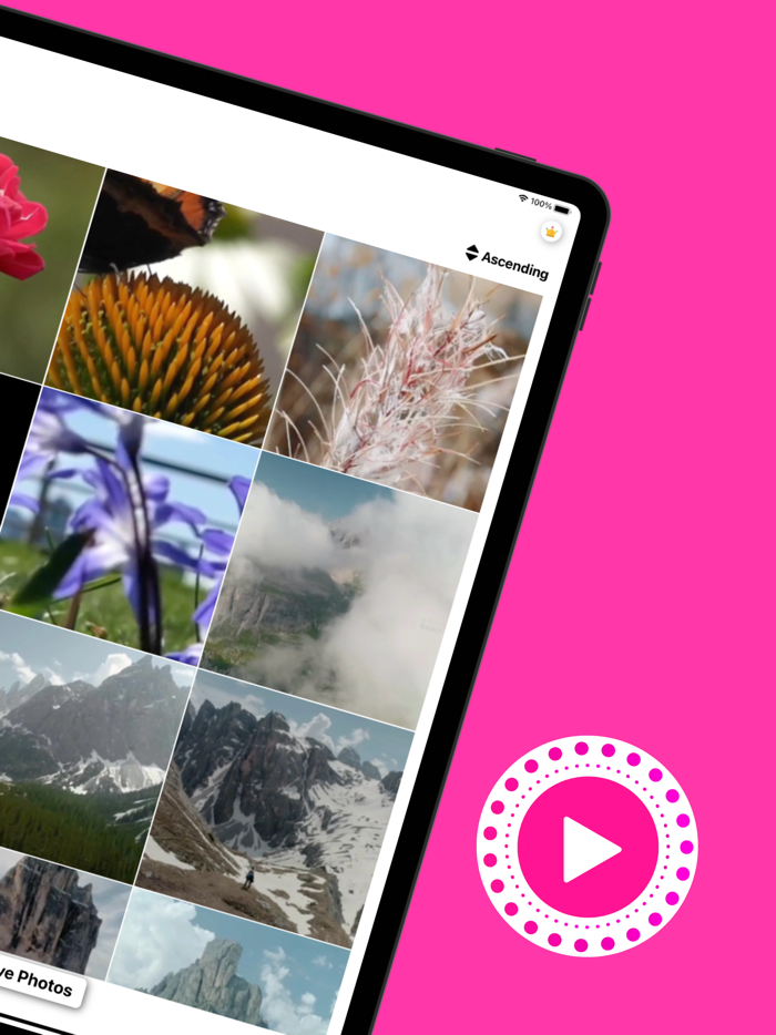 Live Photo Converter