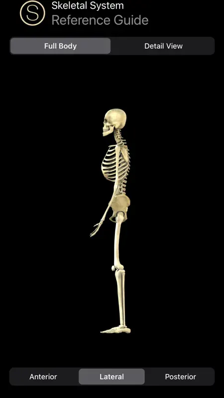 Skeleton Study Guide screenshot 6 of 10
