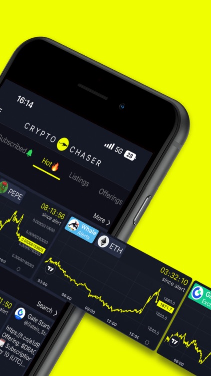 Crypto Chaser: Catch News 1st!