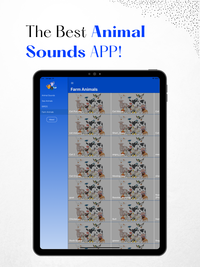 Animal Sounds - Cats Meowing