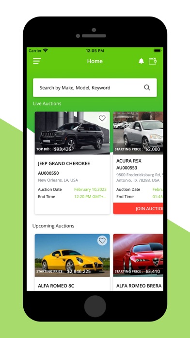 Autoauctioned Screenshot