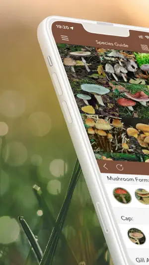 Mushrooms PRO with Photo ID screenshot 1