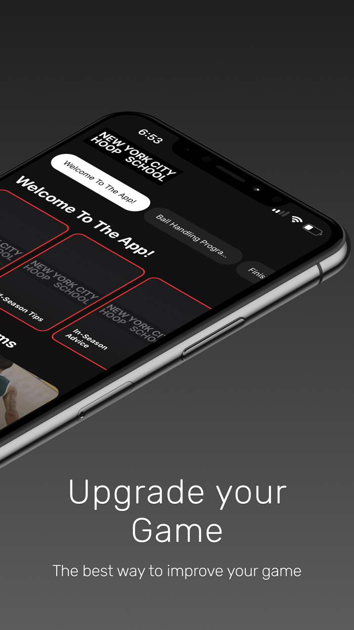 New York City Hoop School