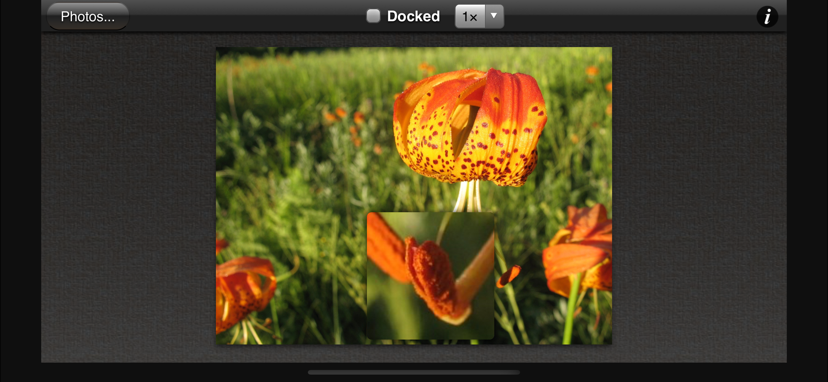 Photo Loupe screenshot 5