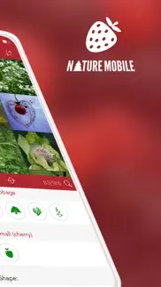 wild berries and herbs 2 pro iphone screenshot 2