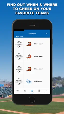 Game screenshot York Revolution hack