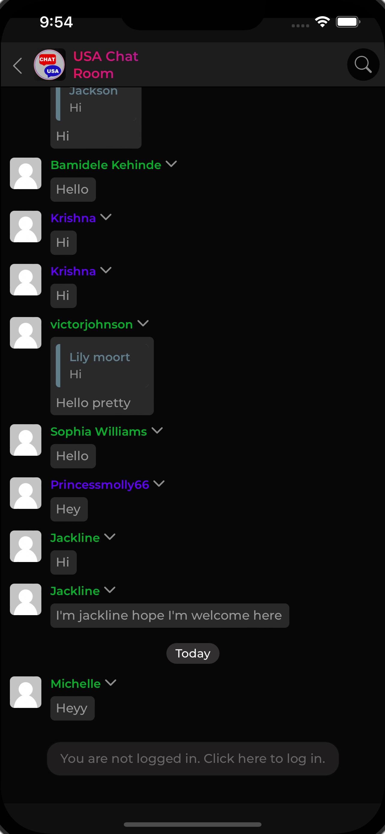 USA Chat Room