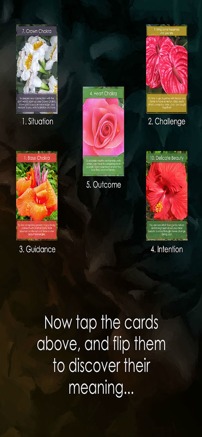 Floramations Oracle Cards
