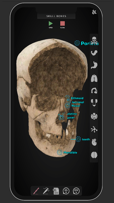 Virtual Medical Anatomy Screenshot