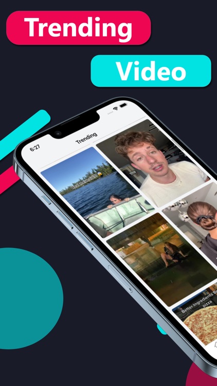 SnapTik + Tik Video Saver screenshot-3
