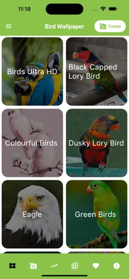 Game screenshot Birds live Wallpaper - 4k mod apk