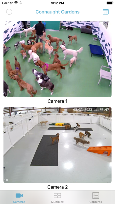 iDogCam View Screenshot