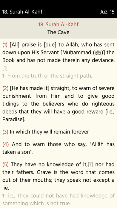 The Holy Quran (English) Screenshot