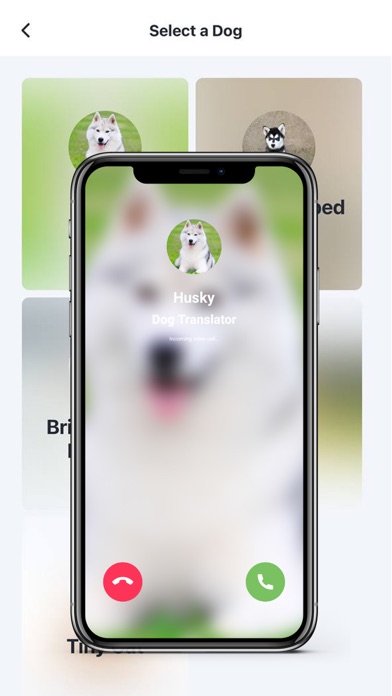 Dog Translator: Prank Sounds Screenshot