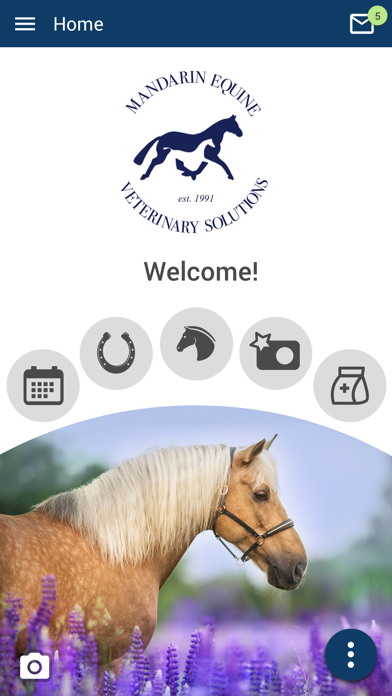 Mandarin Equine Veterinary Screenshot