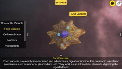 Screenshot 4 of Learn Protozoa App