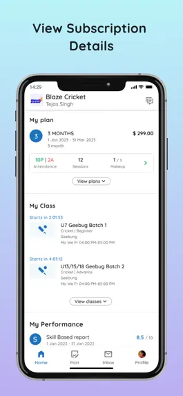 Game screenshot Blaze Cricket hack