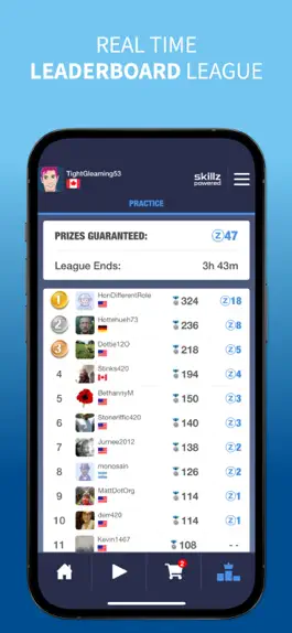 Game screenshot Skee Ball Hop Arcade Game hack