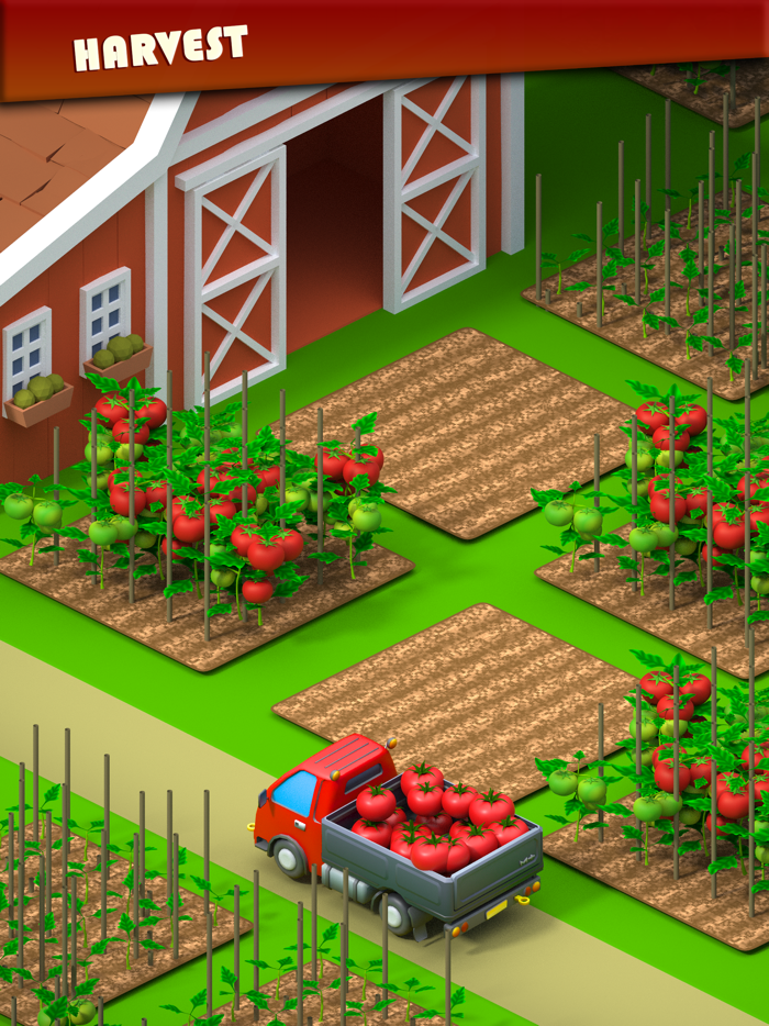 Island Town City and Building